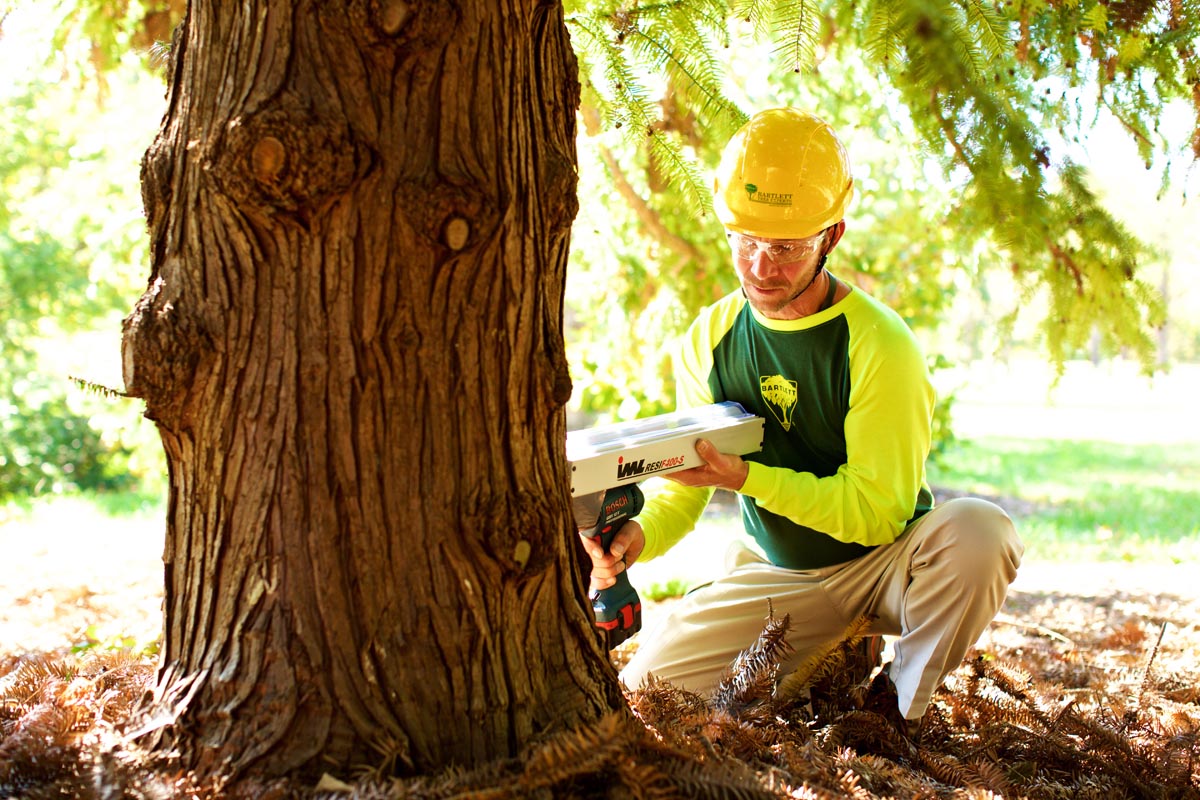 Washington Trust for Historic Preservation — Bartlett Tree Experts