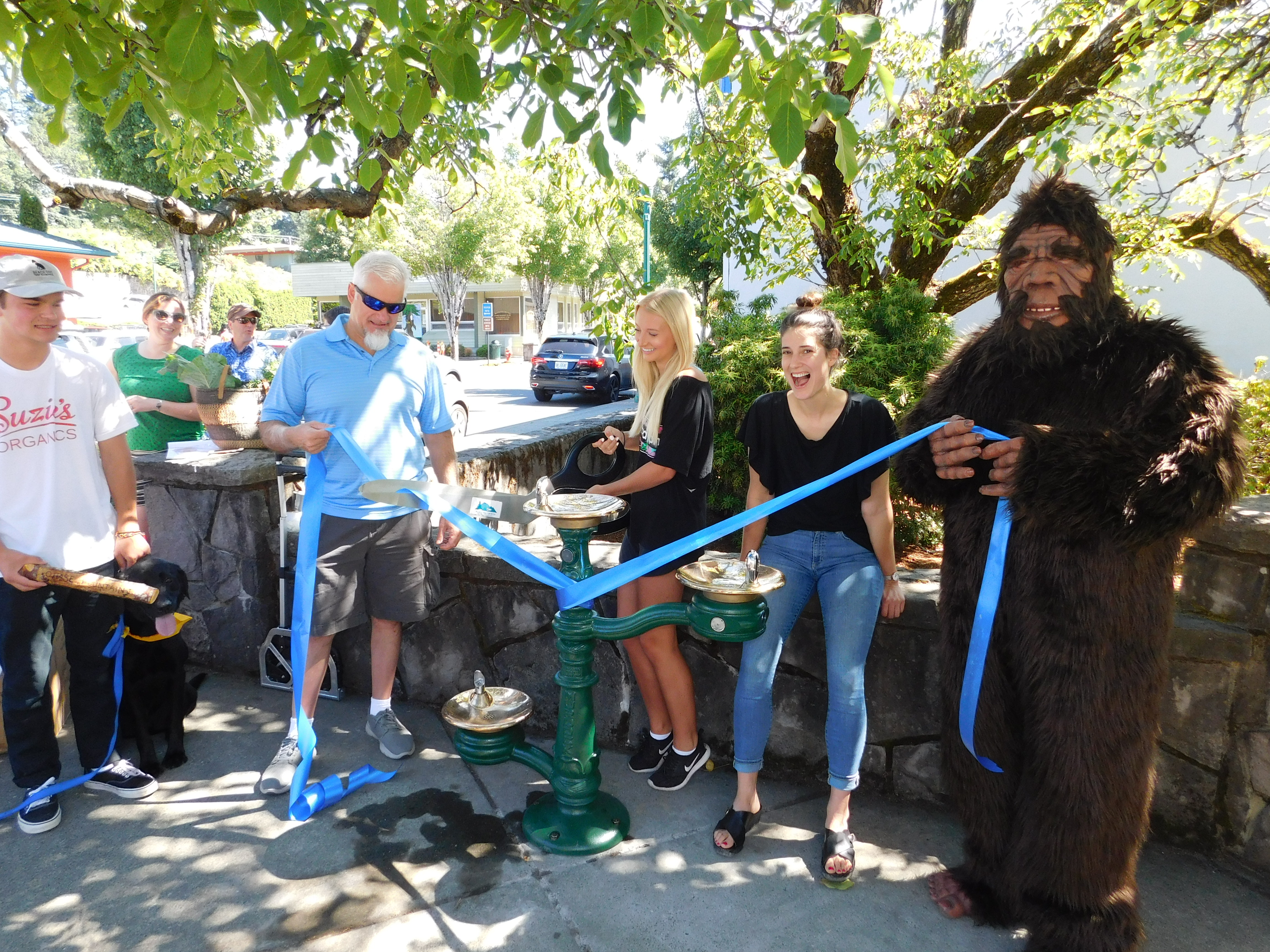 Washington Trust for Historic Preservation — Stevenson Downtown Association